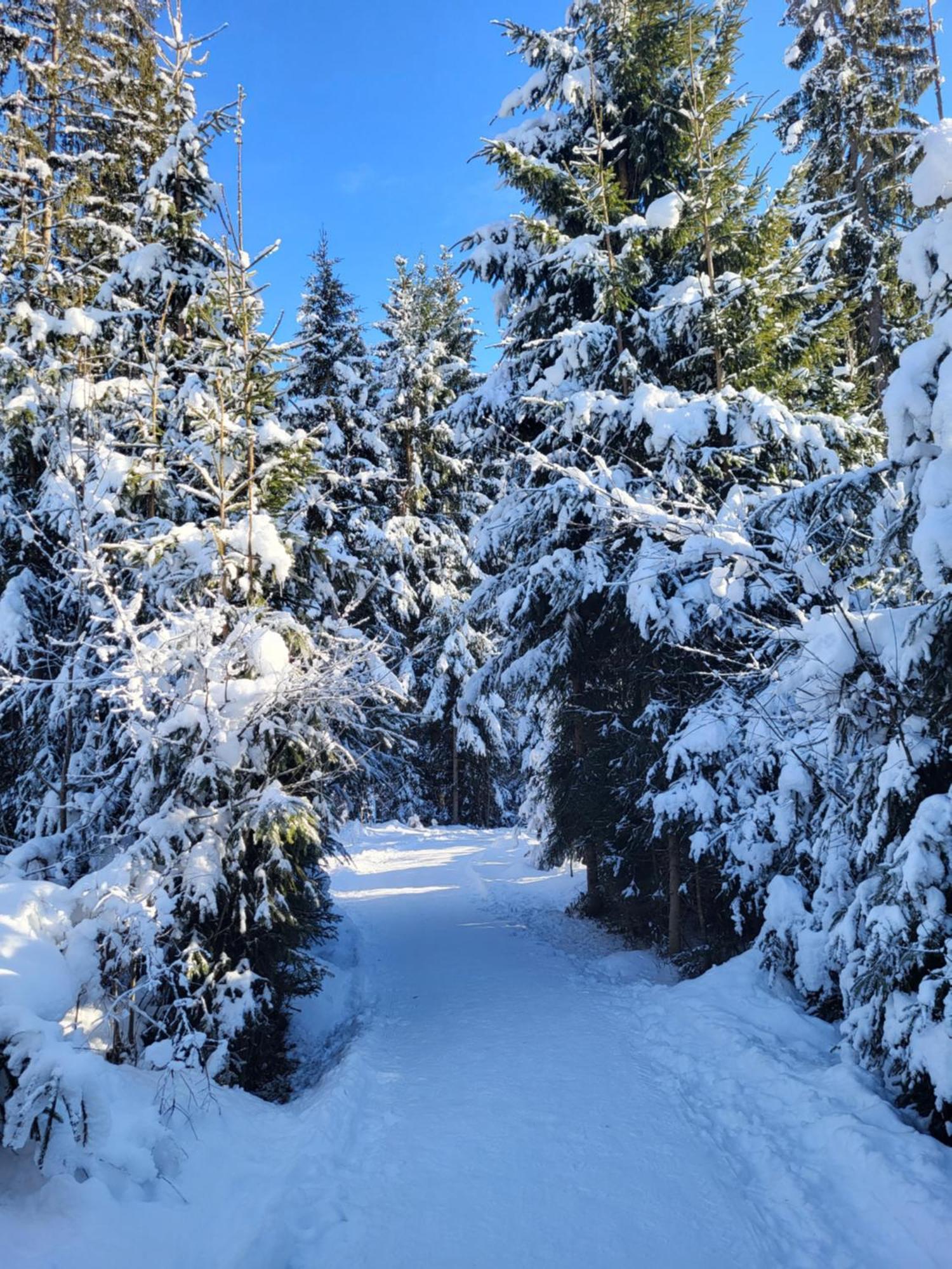 Pension Laerchenbrunn Westendorf Exteriér fotografie