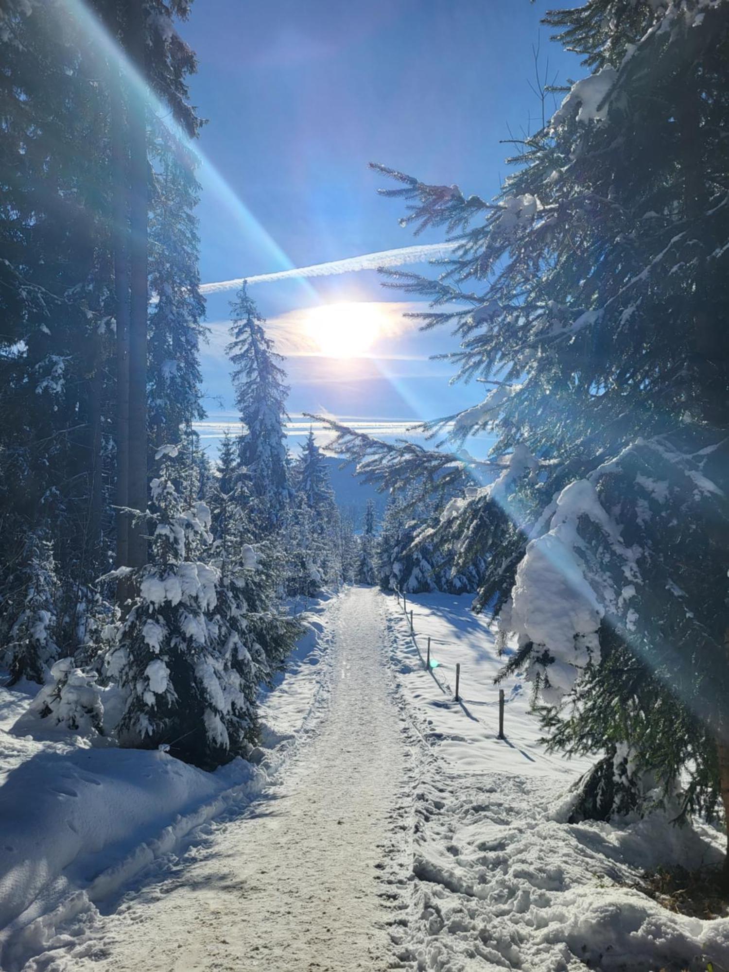 Pension Laerchenbrunn Westendorf Exteriér fotografie