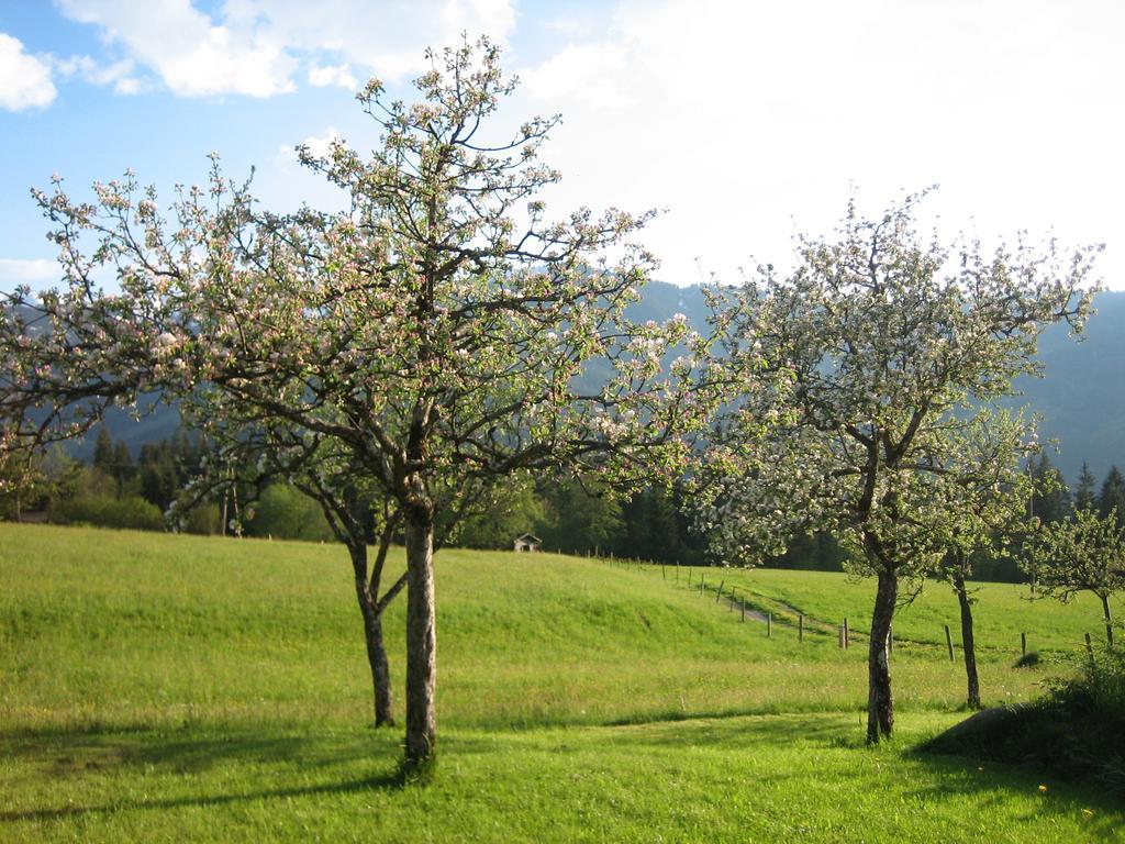 Pension Laerchenbrunn Westendorf Pokoj fotografie