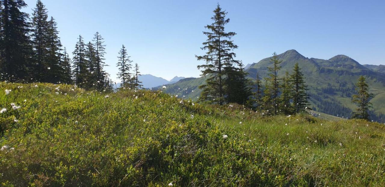 Pension Laerchenbrunn Westendorf Exteriér fotografie